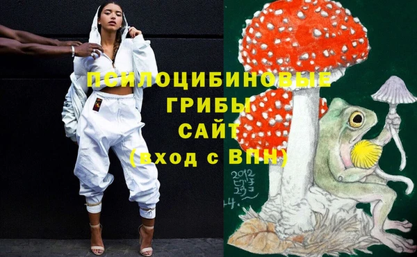 эйфоретик Алзамай