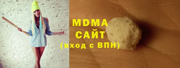 гашик Алексин