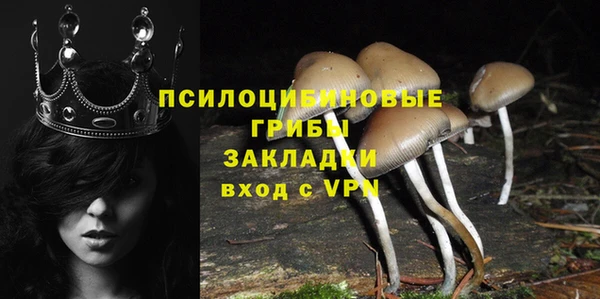 гашик Алексин
