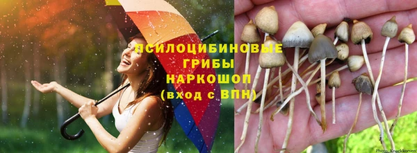 эйфоретик Алзамай