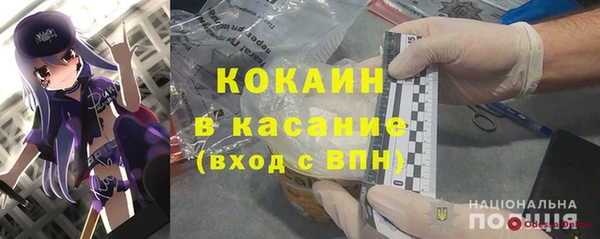 гашик Алексин